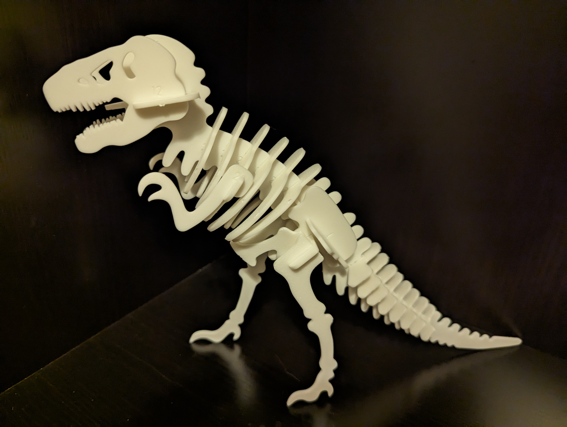 کیت اسکلت دایناسور T-Rex