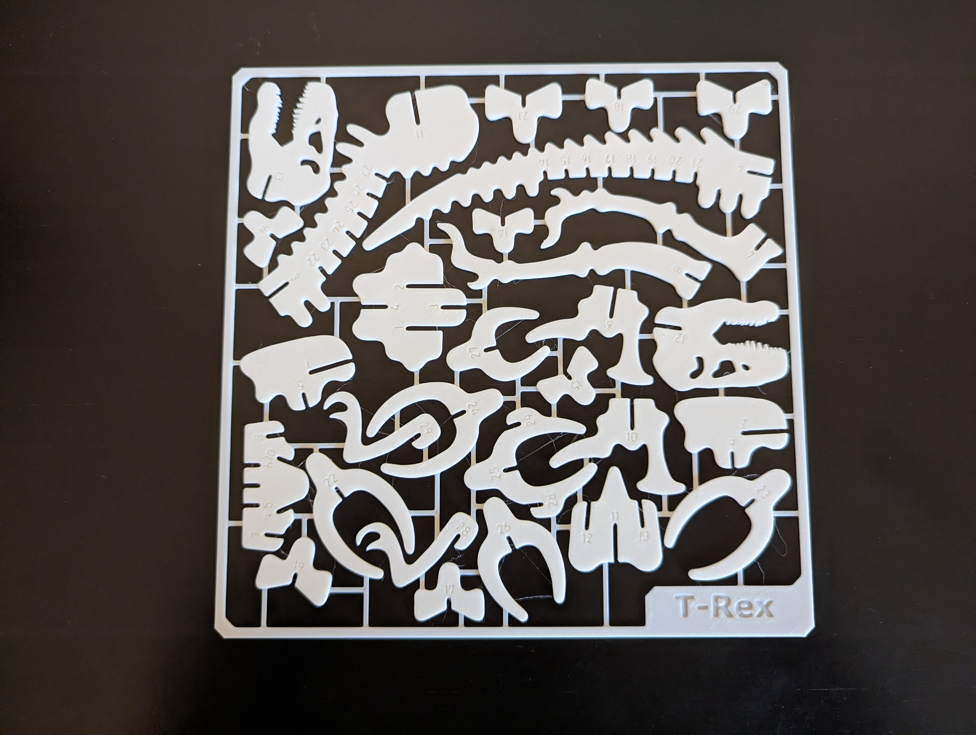 کیت اسکلت دایناسور T-Rex